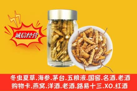 宜昌五峰县回收散虫草
